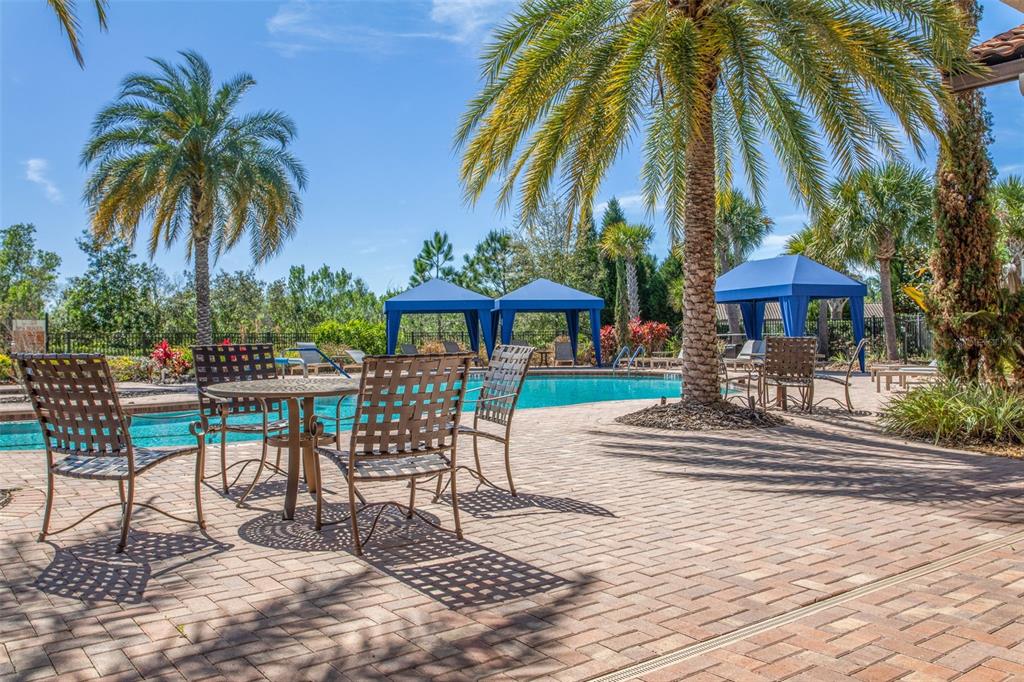 8530 Grand Alberato Road Tampa, FL 33647 - Photo 63 of 67 a patio with a table and chairs under an umbrella