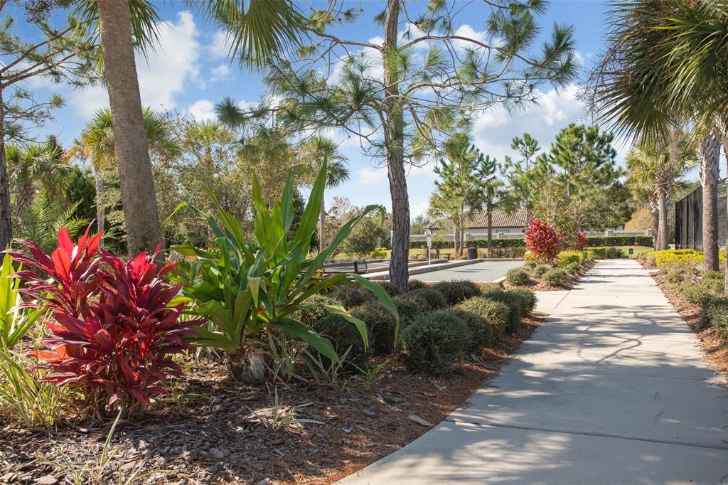 8530 Grand Alberato Road Tampa, FL 33647 - Photo 64 of 67