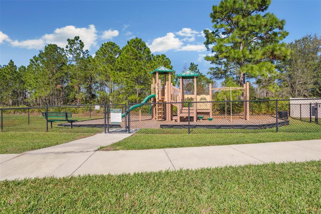 8530 Grand Alberato Road Tampa, FL 33647 - Photo 66 of 67 a view of a park with large trees