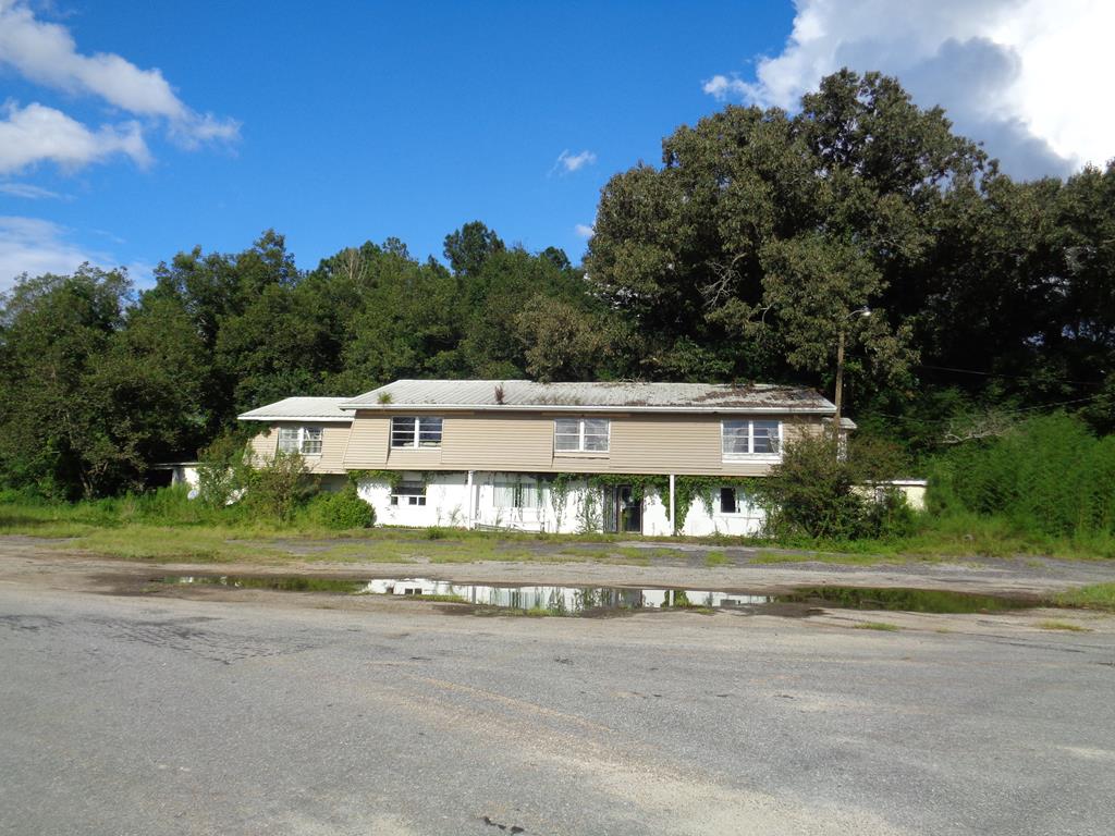 1291 Cty Road Clayton, AL 36016 - Photo 1 of 1