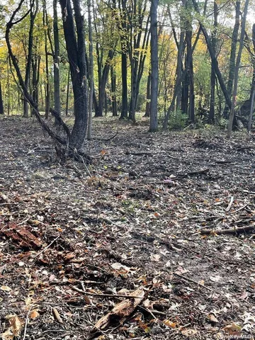 a view of house with trees in the background