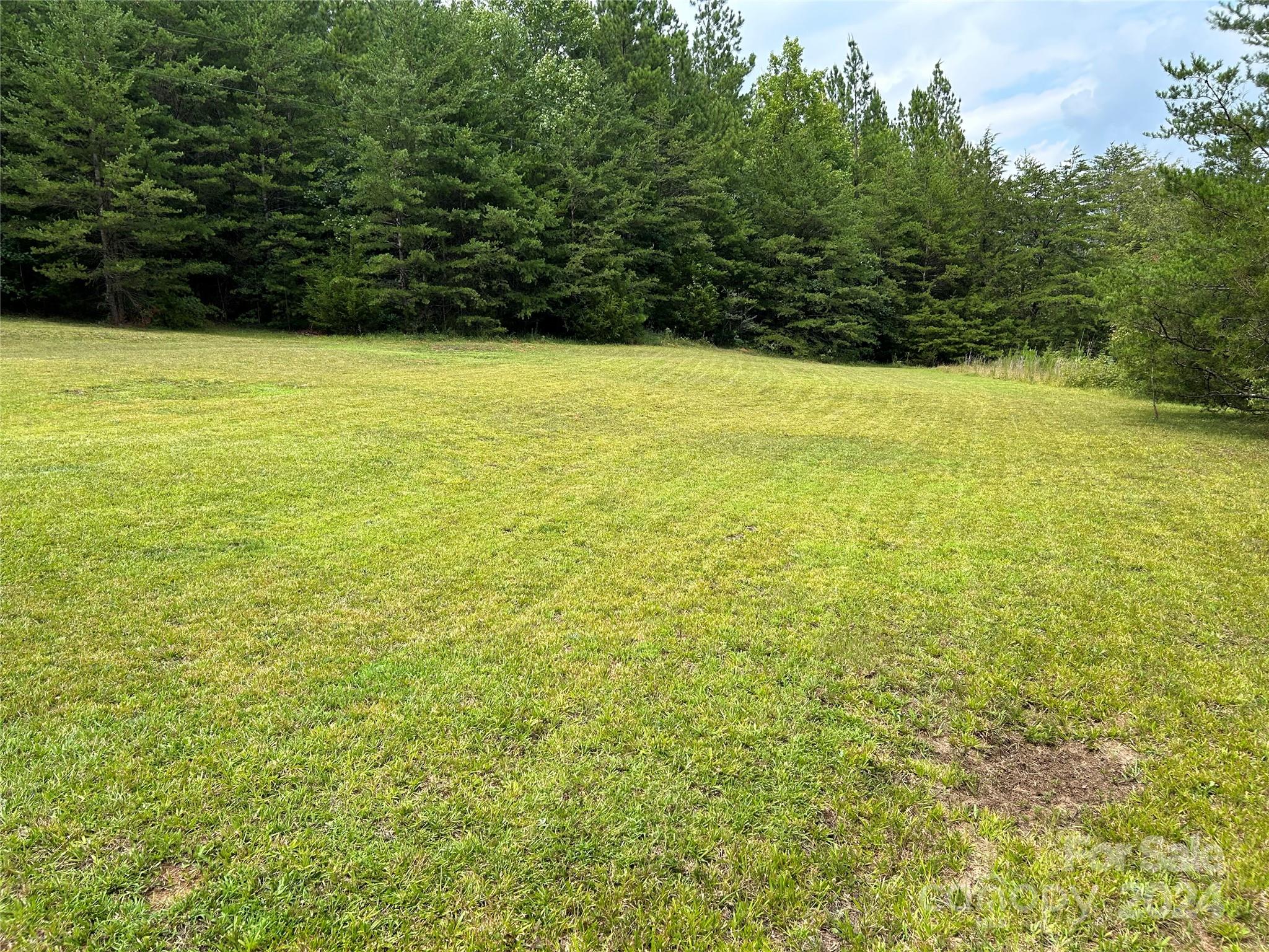 2771 Abrams Moore Road Rutherfordton, NC 28139 - Photo 3 of 47