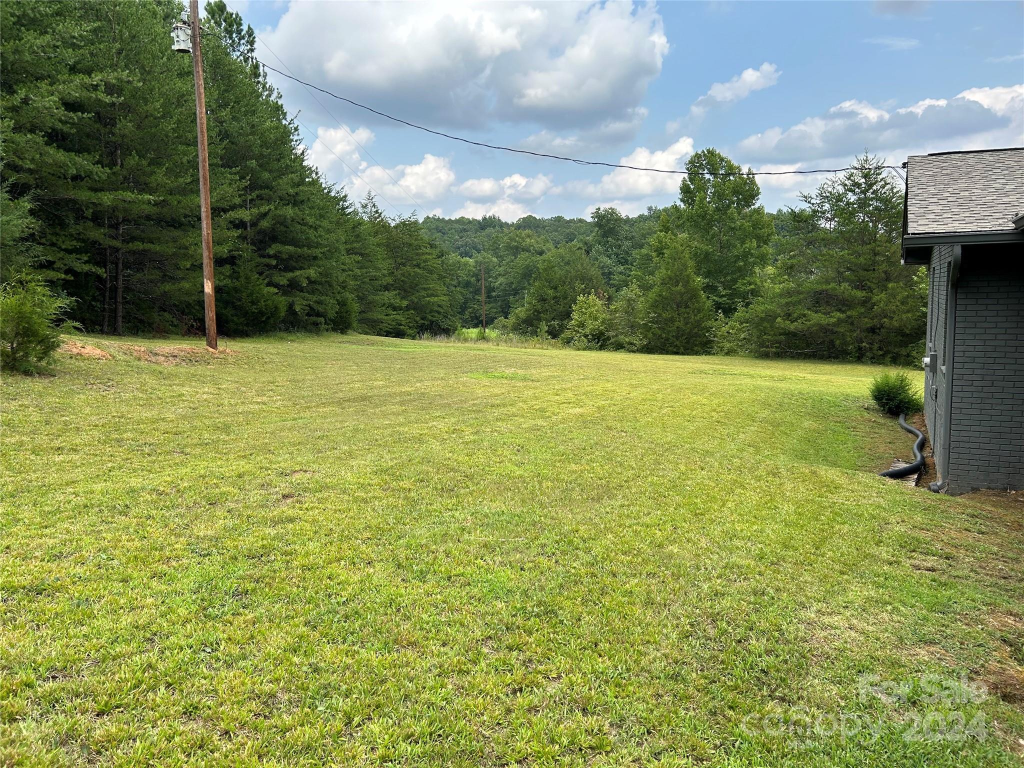 2771 Abrams Moore Road Rutherfordton, NC 28139 - Photo 4 of 47