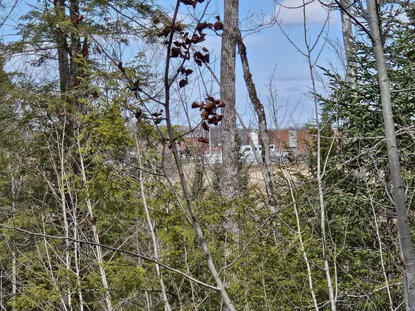 $85,000 | M8-l36 Bigelow Hill Road, Skowhegan, ME 04976