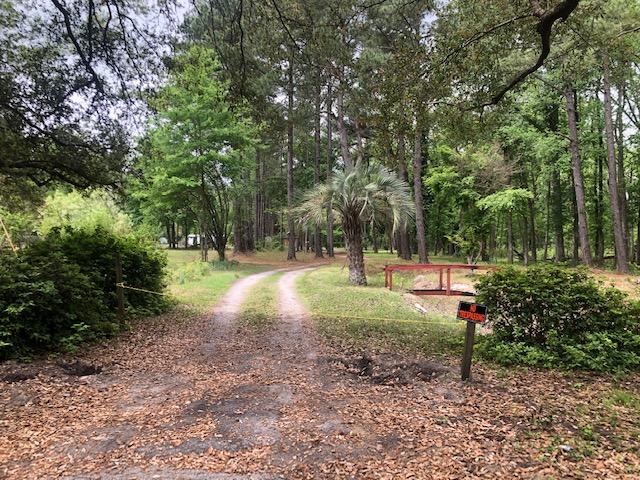 1611 Red Oak Road Cottageville, SC 29435 - Photo 3 of 5 Preacher Land 3