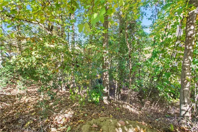 a view of a road with a yard