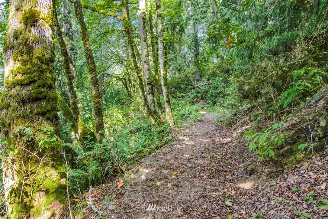 18825 High Rock Road Monroe, WA 98272 - Photo 21 of 25