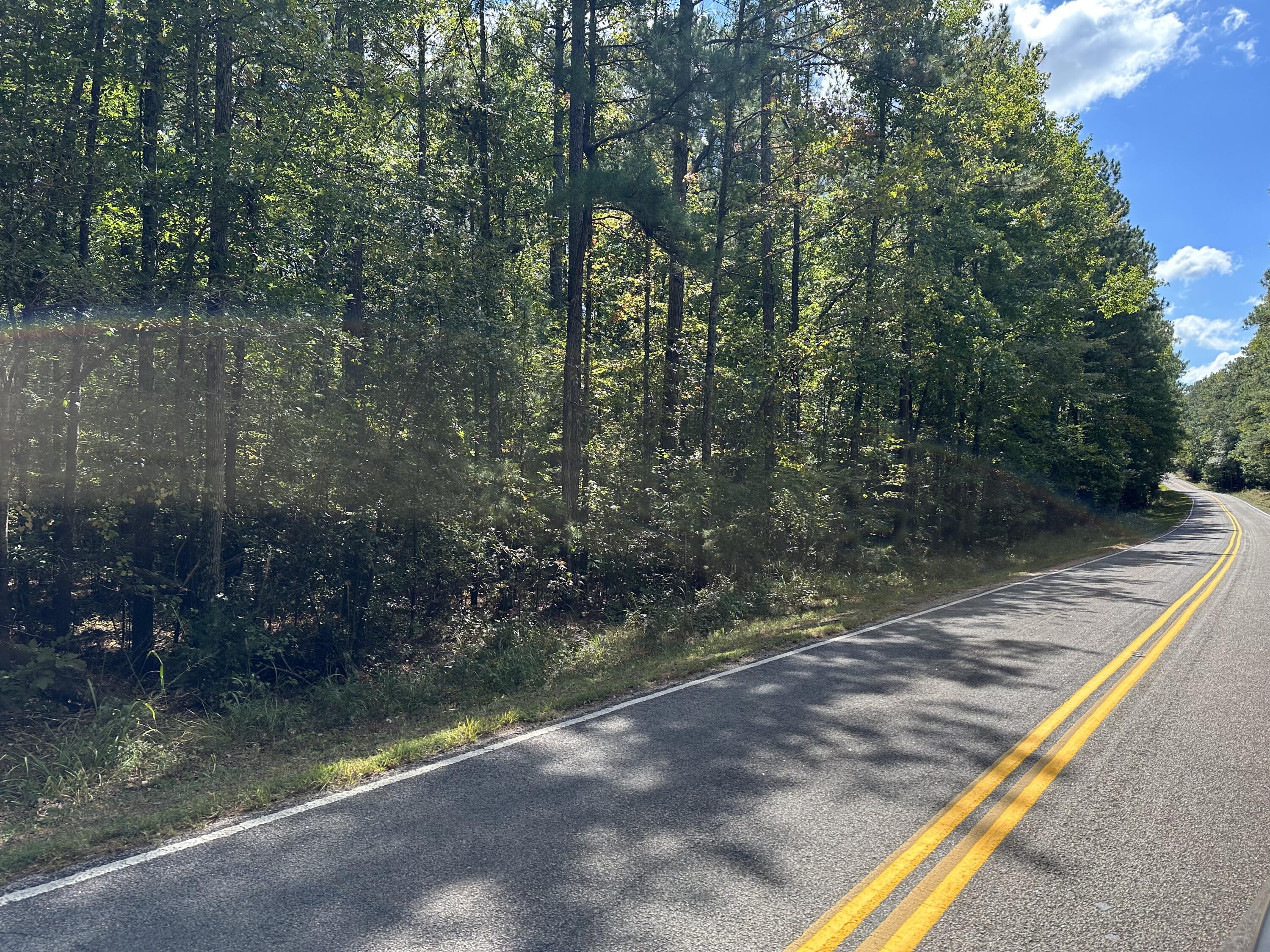 Tbd North Martintown Road North Edgefield, SC 29824 - Photo 2 of 5 Gallery Image 2