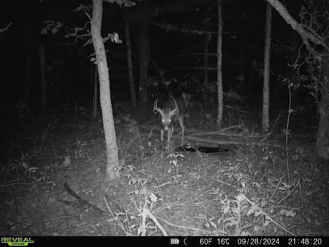 Lot 1 Highway 13 Adams Wi 53934 Friendship, WI 53934 - Photo 11 of 27