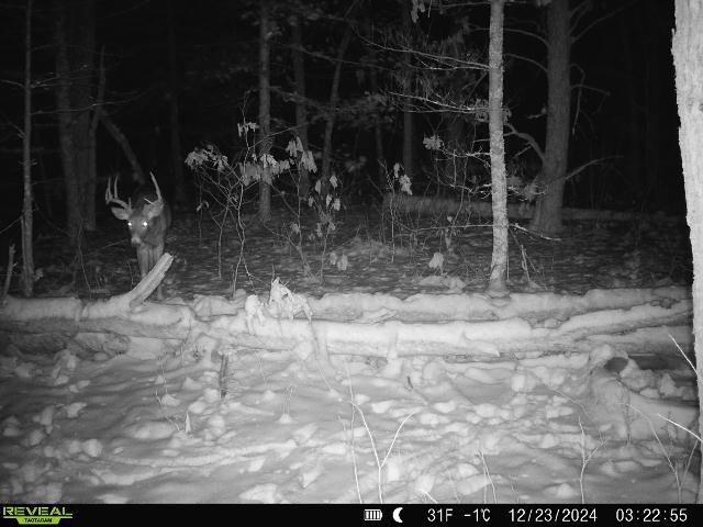 Lot 1 Highway 13 Adams Wi 53934 Friendship, WI 53934 - Photo 12 of 27