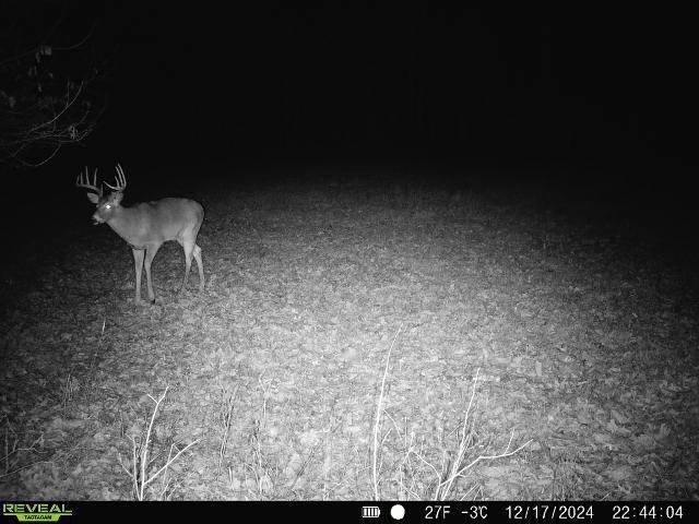 Lot 1 Highway 13 Adams Wi 53934 Friendship, WI 53934 - Photo 15 of 27