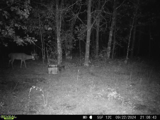 Lot 1 Highway 13 Adams Wi 53934 Friendship, WI 53934 - Photo 16 of 27