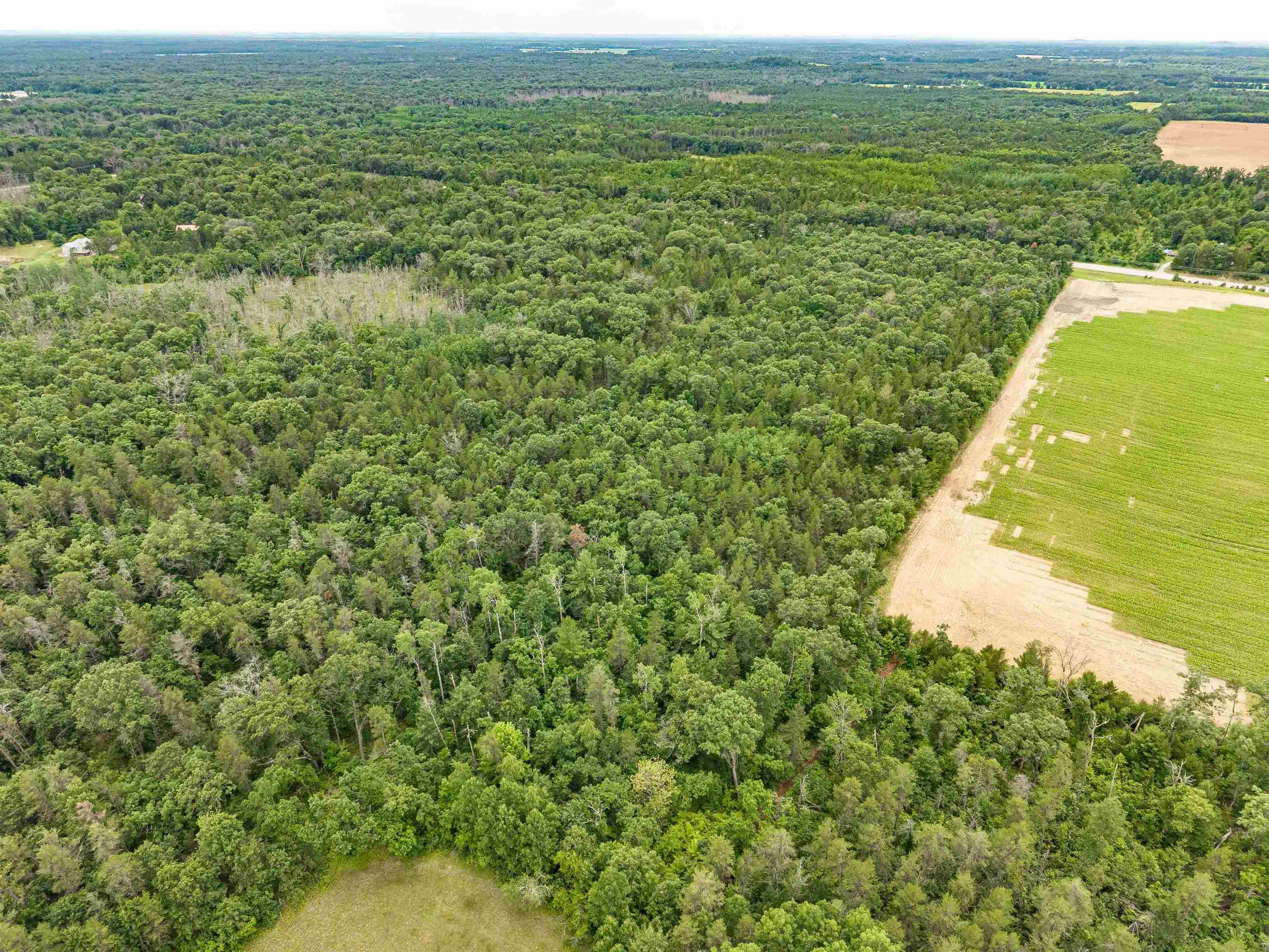 Lot 1 Highway 13 Adams Wi 53934 Friendship, WI 53934 - Photo 19 of 27