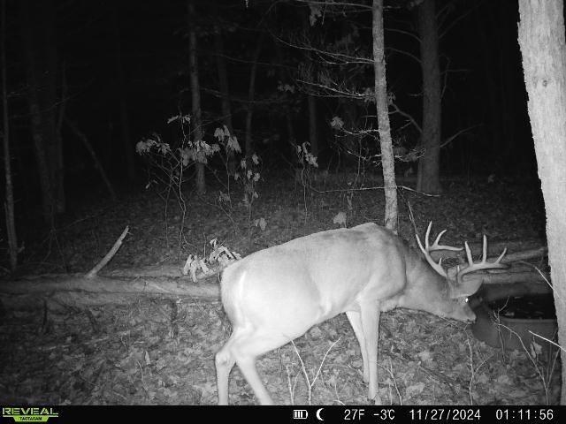 Lot 1 Highway 13 Adams Wi 53934 Friendship, WI 53934 - Photo 2 of 27