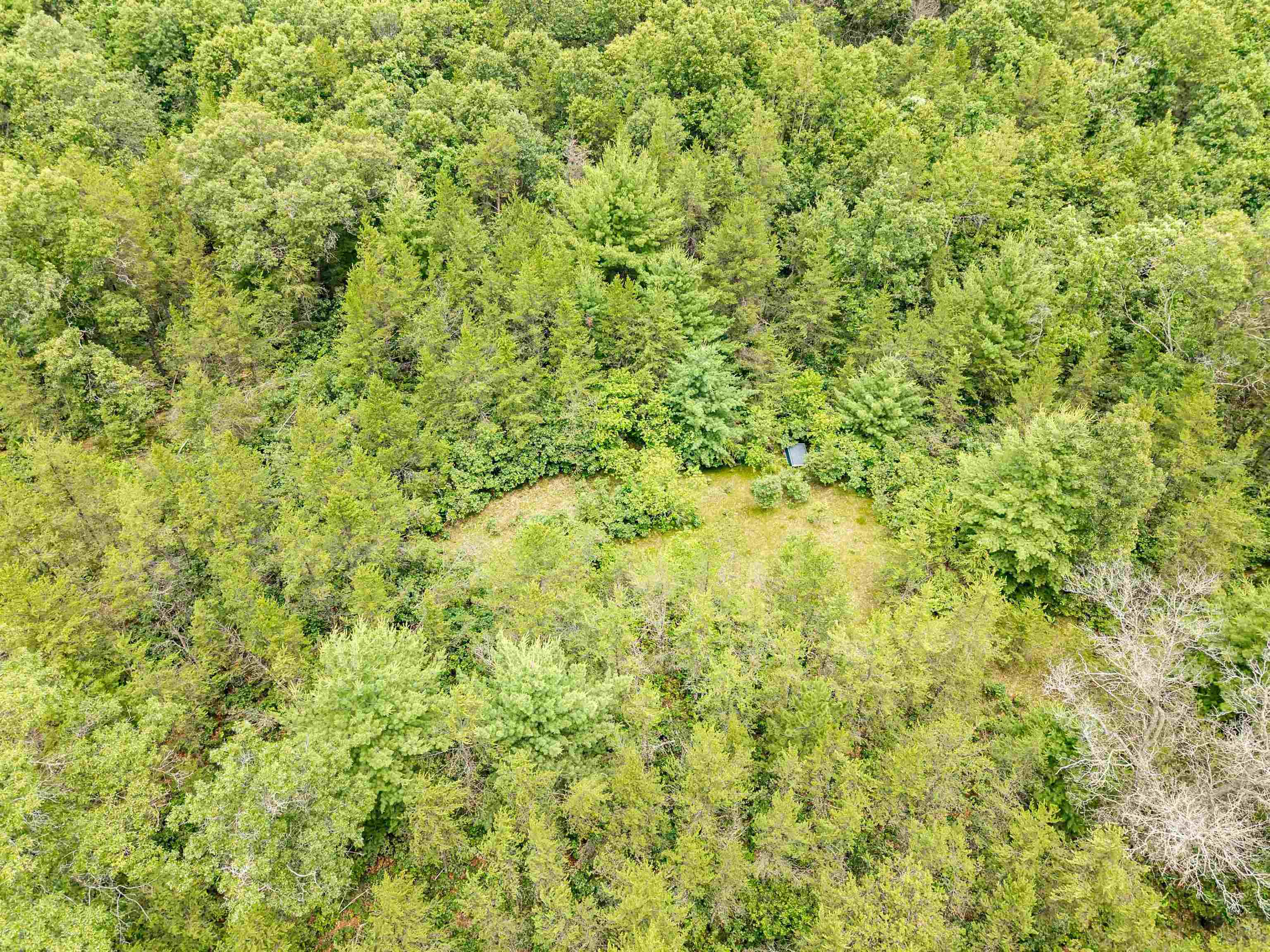 Lot 1 Highway 13 Adams Wi 53934 Friendship, WI 53934 - Photo 21 of 27