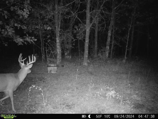 Lot 1 Highway 13 Adams Wi 53934 Friendship, WI 53934 - Photo 24 of 27