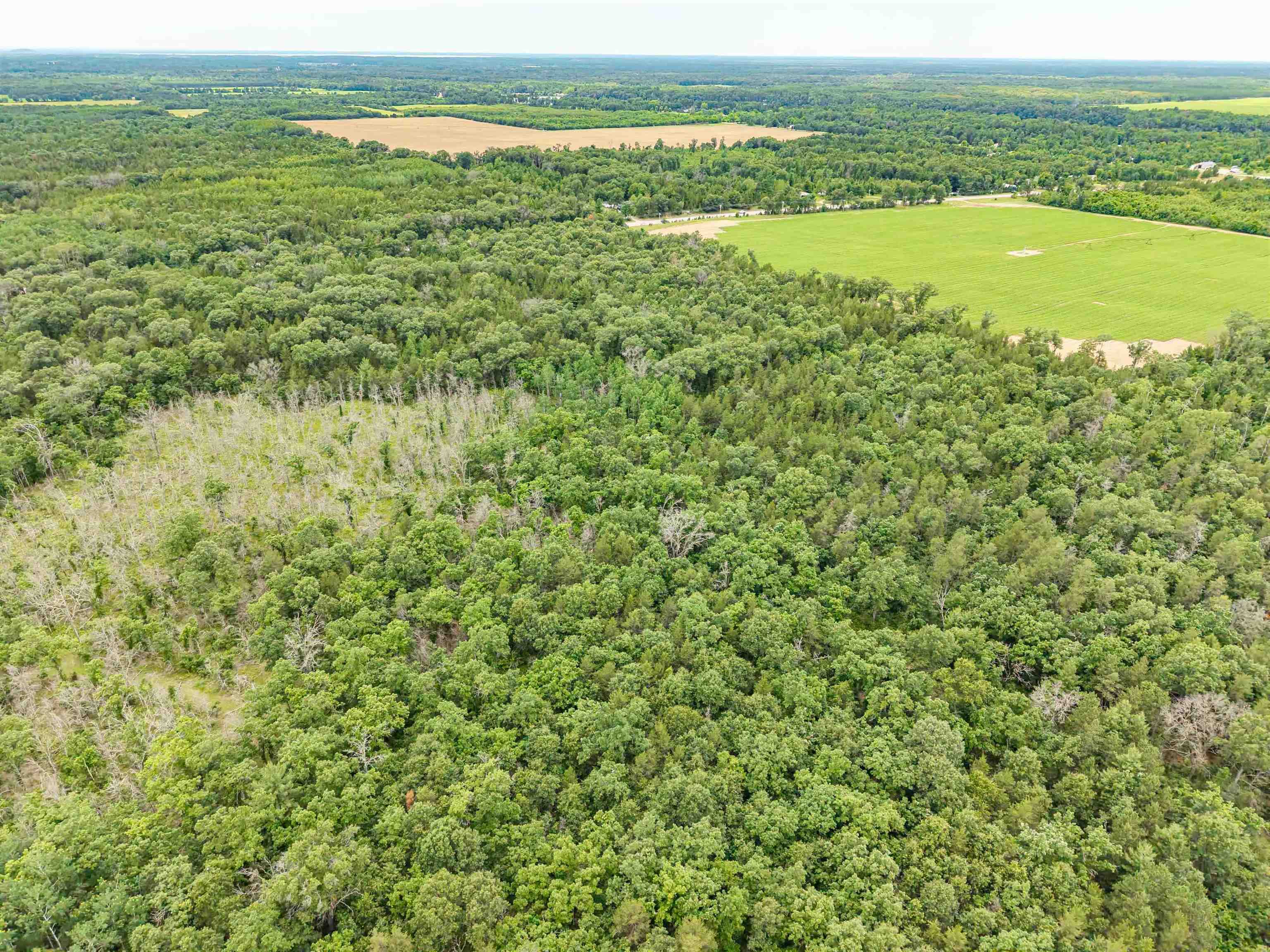 Lot 1 Highway 13 Adams Wi 53934 Friendship, WI 53934 - Photo 5 of 27