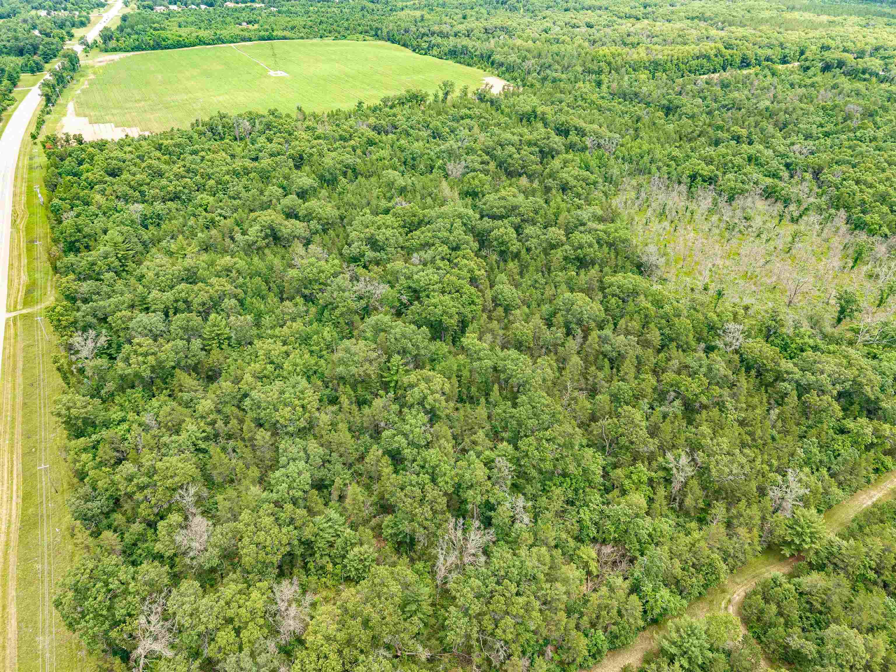 Lot 1 Highway 13 Adams Wi 53934 Friendship, WI 53934 - Photo 6 of 27