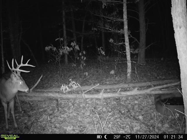 Lot 1 Highway 13 Adams Wi 53934 Friendship, WI 53934 - Photo 8 of 27