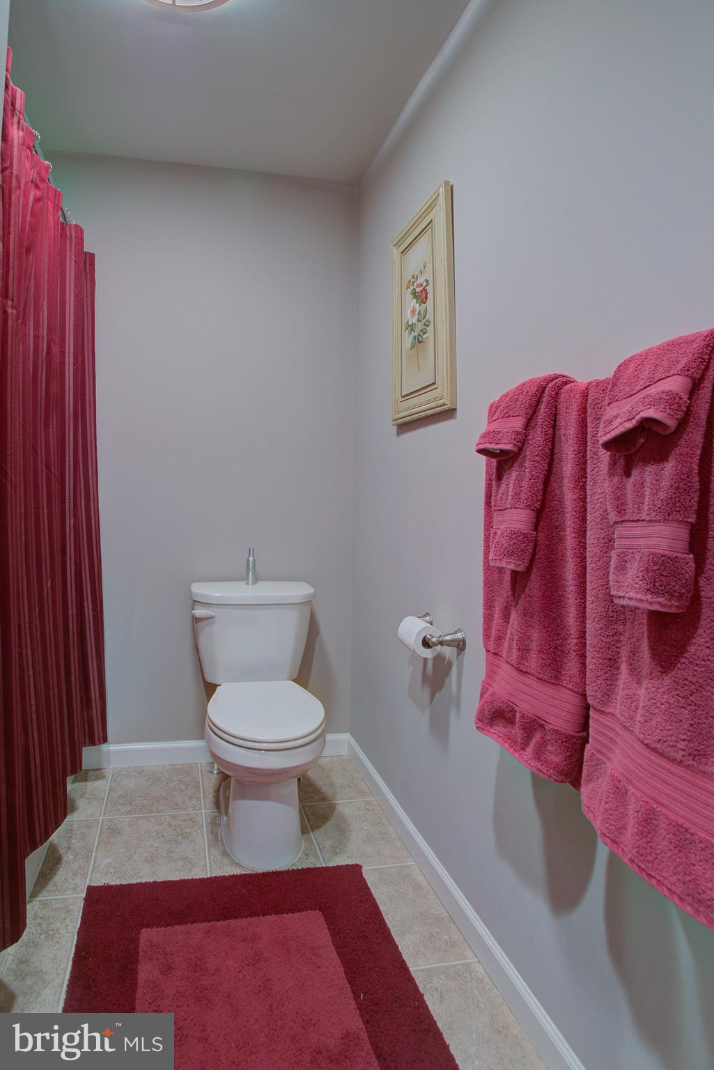 107 Baneberry Lane Lititz, PA 17543 - Photo 22 of 45