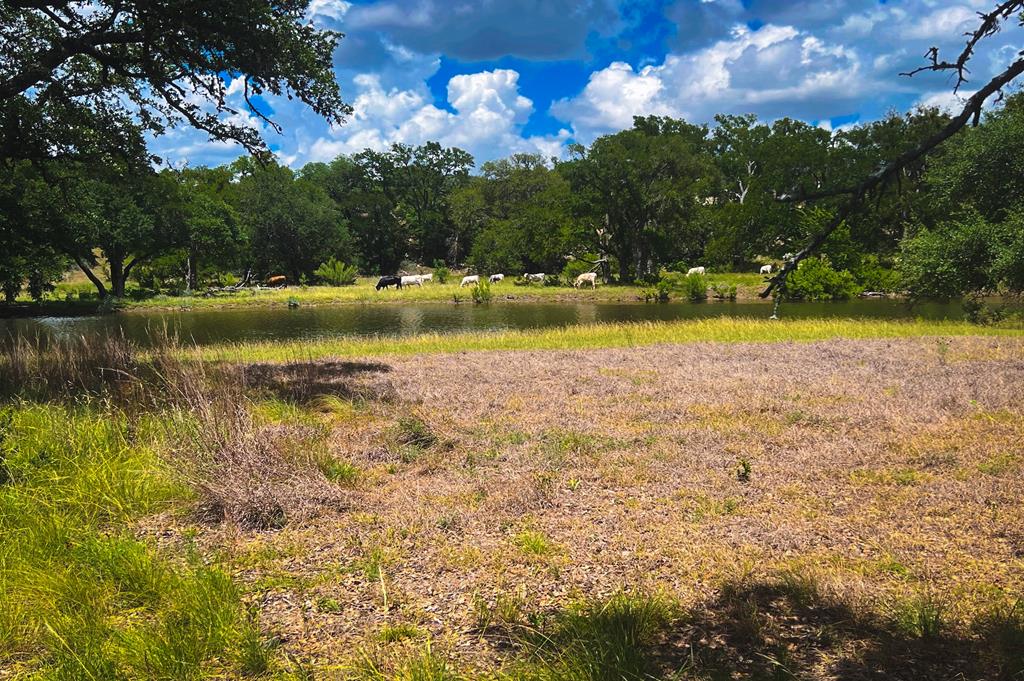 1364 North Walnut Springs Road, Unit 19 Johnson City, TX 78636 - Photo 11 of 51