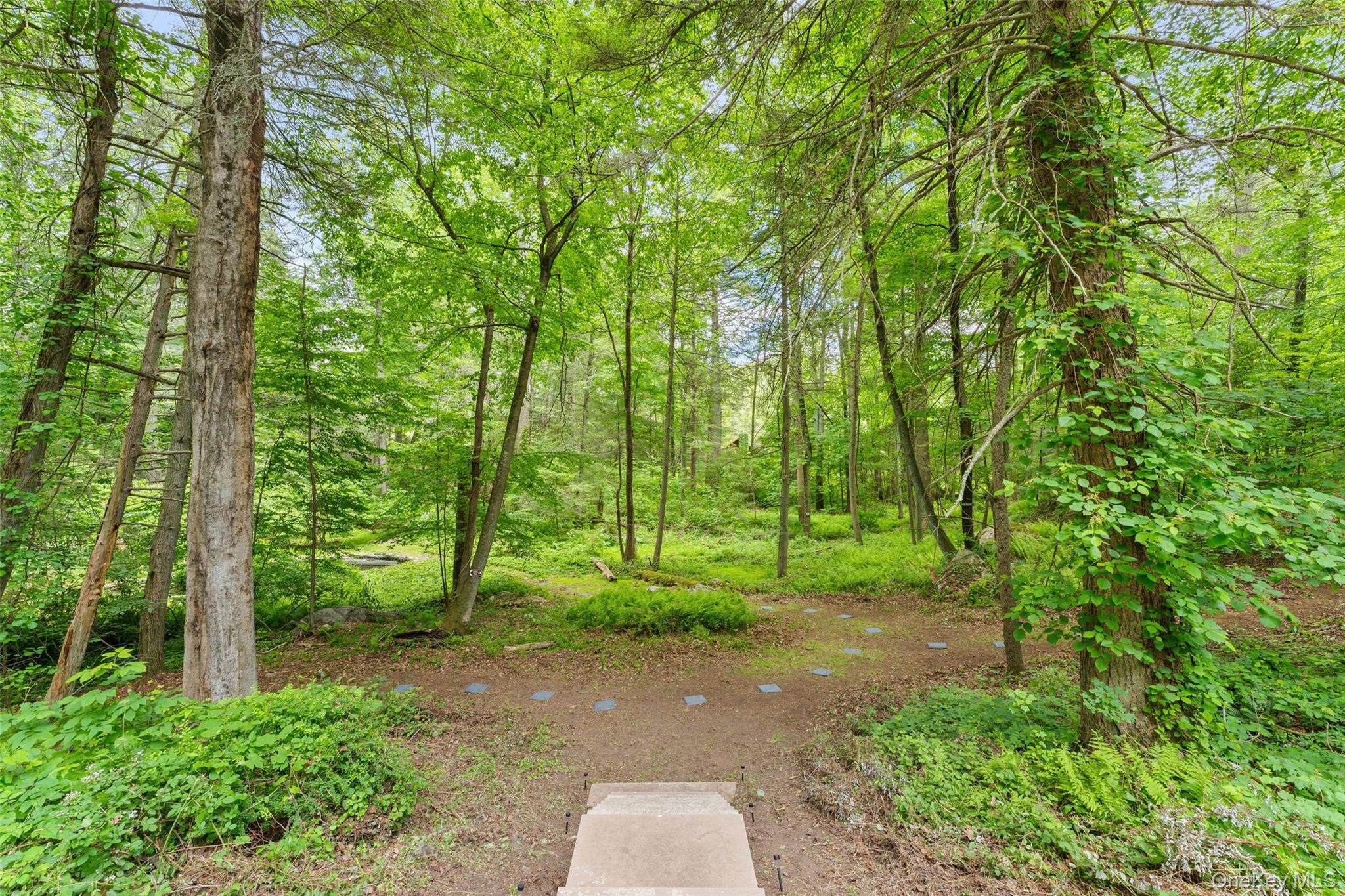 25 Cabin Ridge Road Chappaqua, NY 10514 - Photo 30 of 39