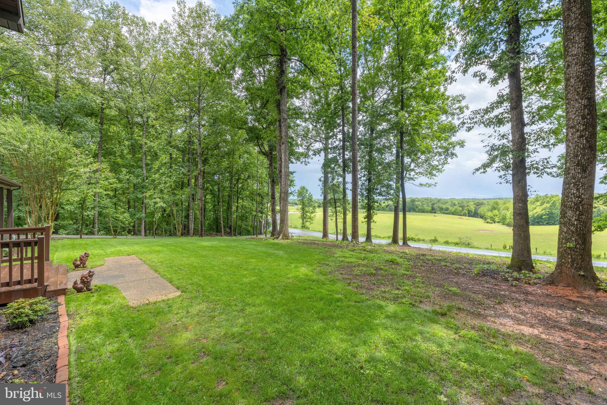 1425 Jacks Shop Road Rochelle, VA 22738 - Photo 41 of 56 Front yard
