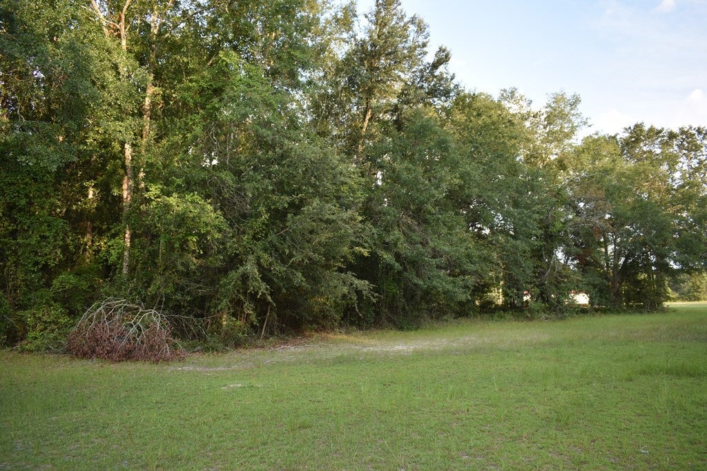 68 Barber Road Ray City, GA 31645 - Photo 12 of 23 Gallery Image 12
