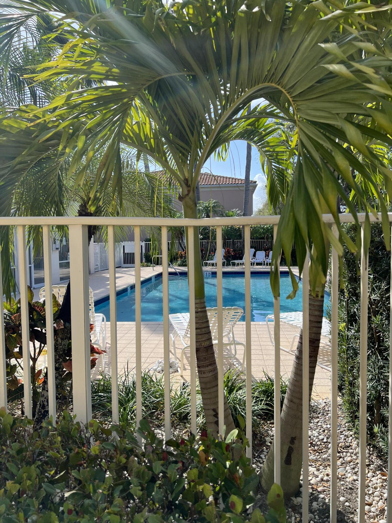 17 Oakleaf Court Tequesta, FL 33469 - Photo 76 of 81 COMMUNITY POOL