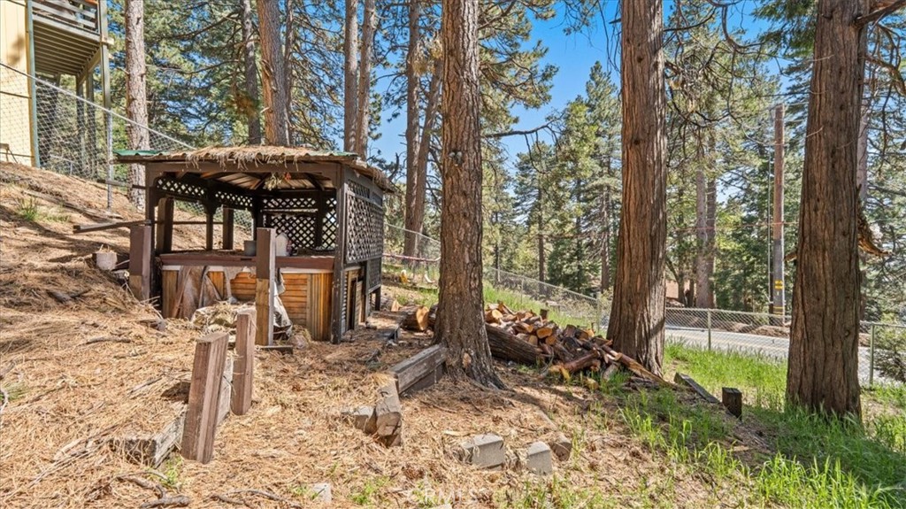 31347 Circle View Drive Running Springs, CA 92382 - Photo 25 of 48 a view of a outdoor space