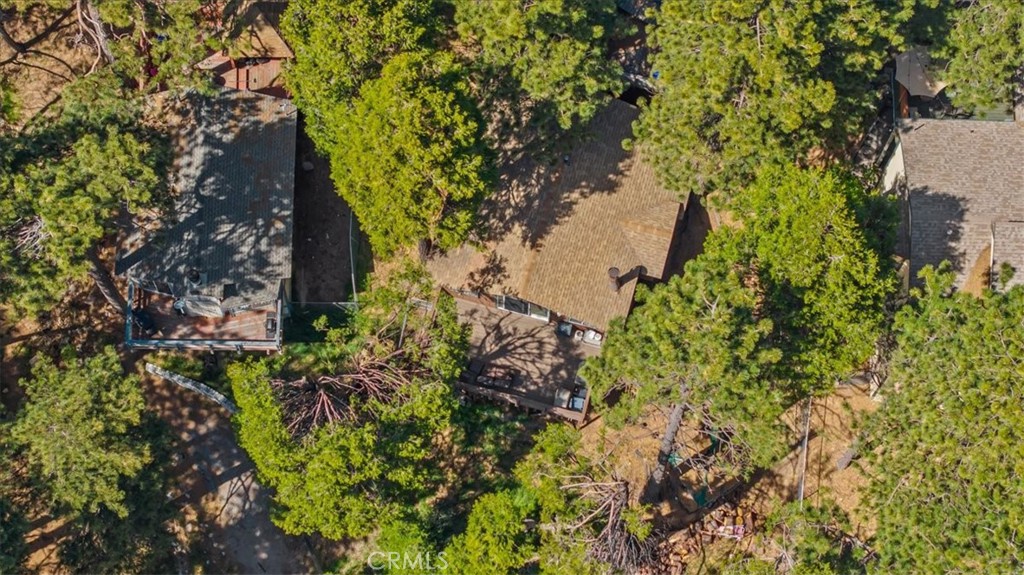 31347 Circle View Drive Running Springs, CA 92382 - Photo 37 of 48 a view of a garden