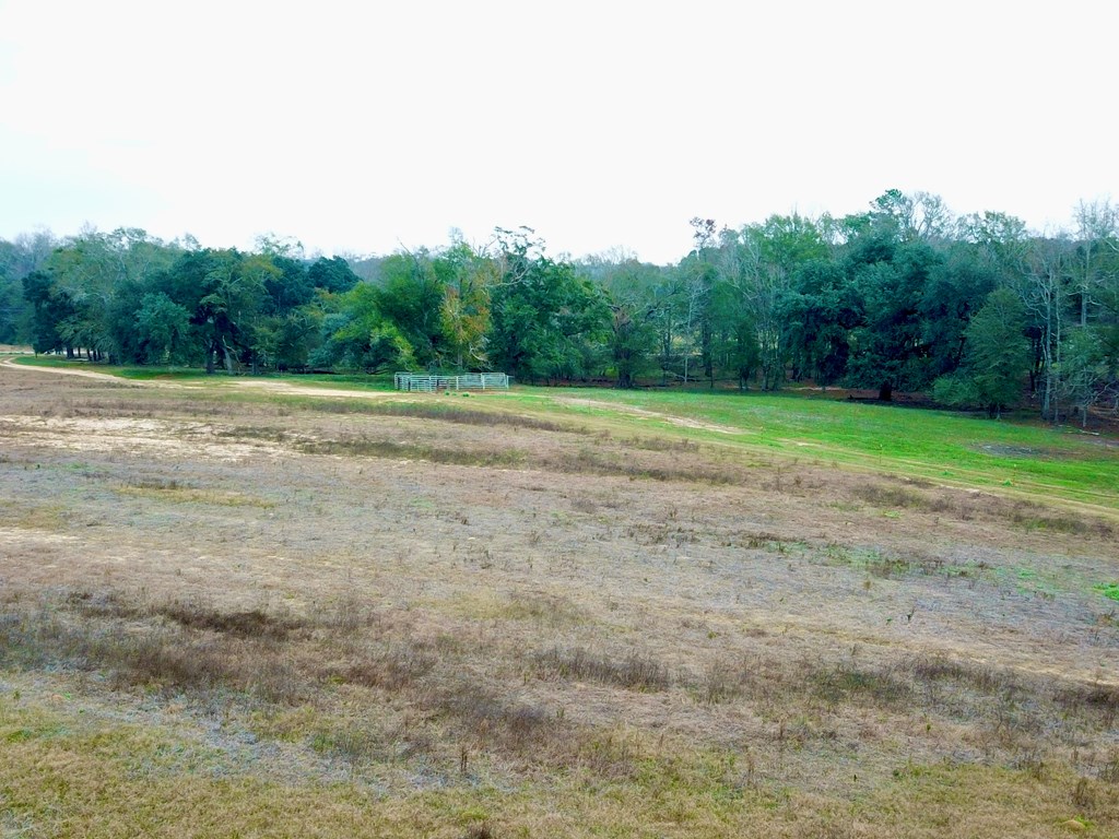 3161 Cedar Springs Road Ashford, AL 36312 - Photo 7 of 16
