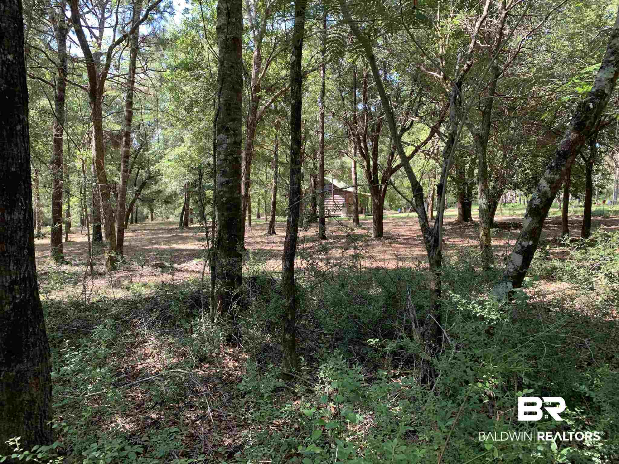 1 Truck Rte 17 Road Robertsdale, AL 36567 - Photo 24 of 25
