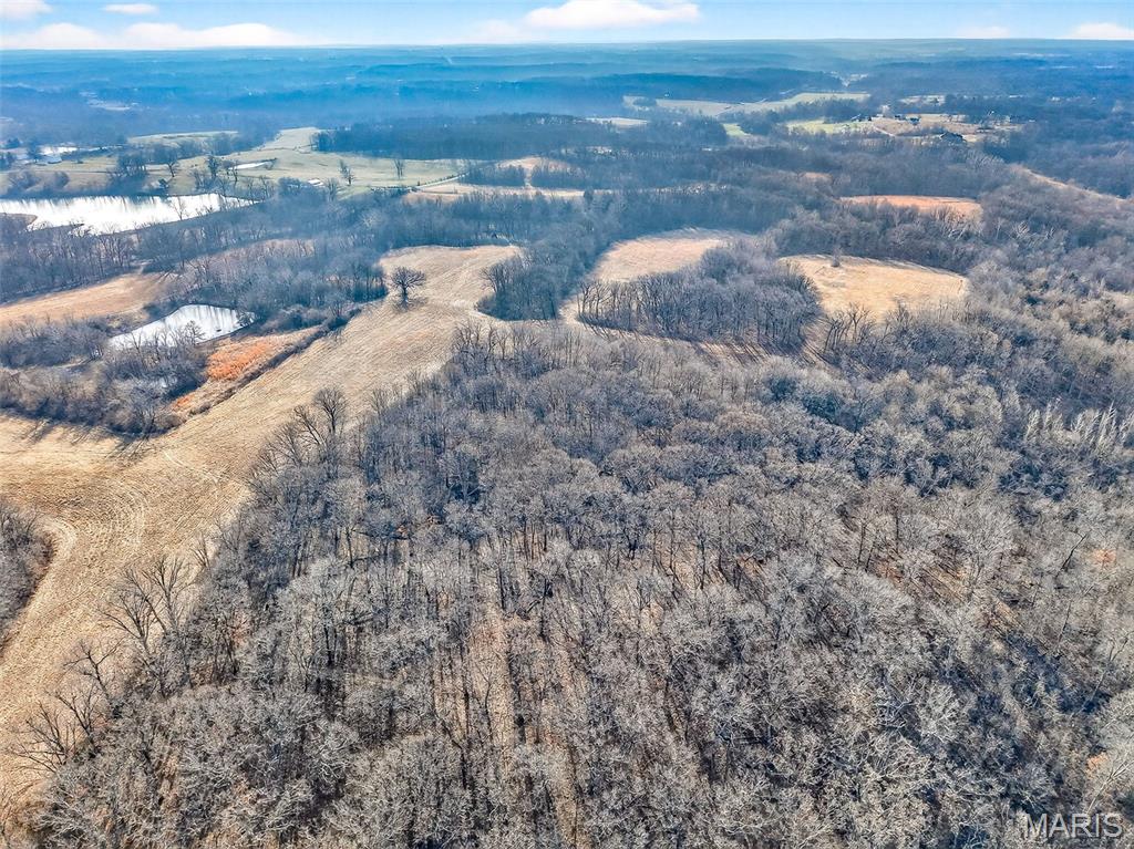 285 Graves Lane Foley, MO 63347 - Photo 11 of 34