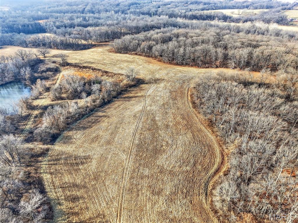 285 Graves Lane Foley, MO 63347 - Photo 15 of 34