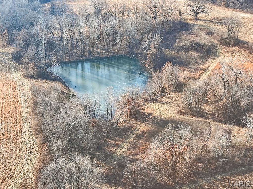 285 Graves Lane Foley, MO 63347 - Photo 16 of 34