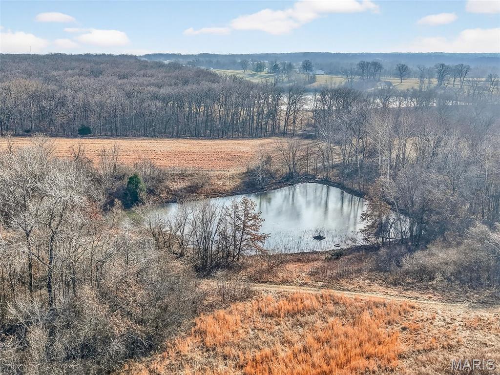 285 Graves Lane Foley, MO 63347 - Photo 18 of 34