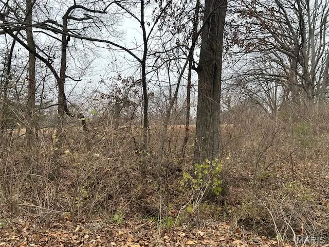 $1,451,250 | 285 Graves Lane, Foley, MO 63347