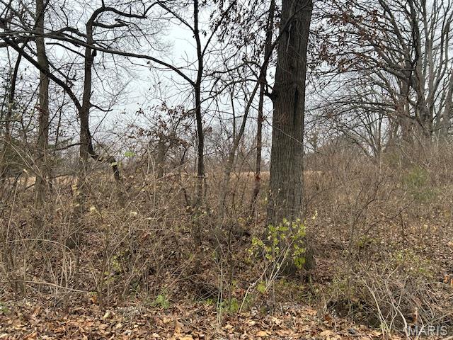 285 Graves Lane Foley, MO 63347 - Photo 20 of 34