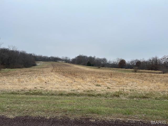 285 Graves Lane Foley, MO 63347 - Photo 21 of 34