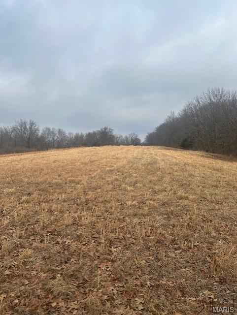 285 Graves Lane Foley, MO 63347 - Photo 22 of 34