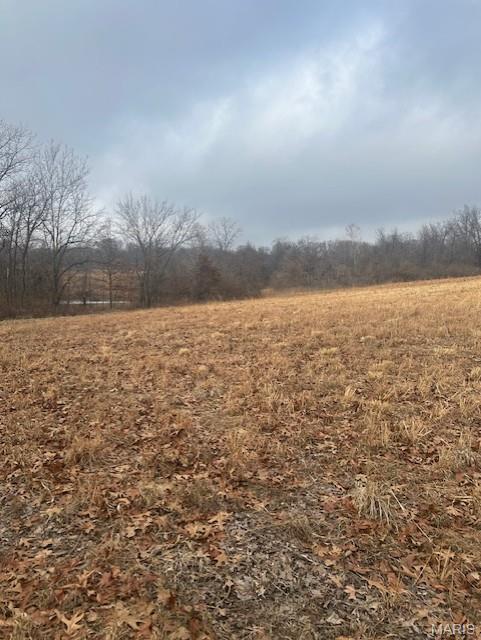 285 Graves Lane Foley, MO 63347 - Photo 23 of 34