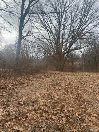 $1,290,000 | 285 Graves Lane, Foley, MO 63347