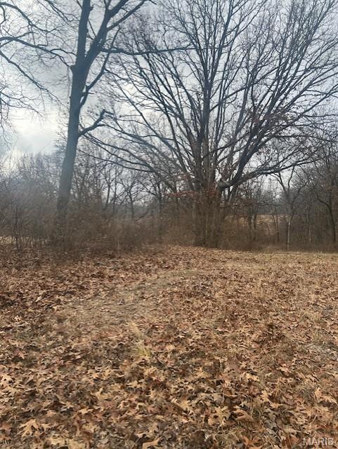 285 Graves Lane Foley, MO 63347 - Photo 25 of 34