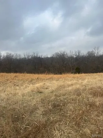 $1,290,000 | 285 Graves Lane, Foley, MO 63347