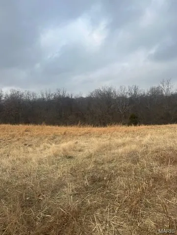 $1,451,250 | 285 Graves Lane, Foley, MO 63347