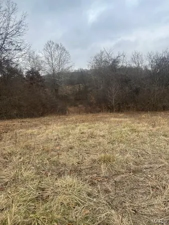 $1,290,000 | 285 Graves Lane, Foley, MO 63347