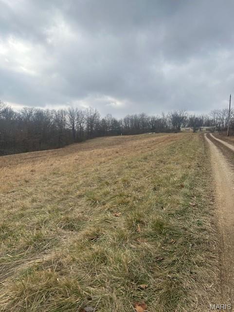 285 Graves Lane Foley, MO 63347 - Photo 29 of 34