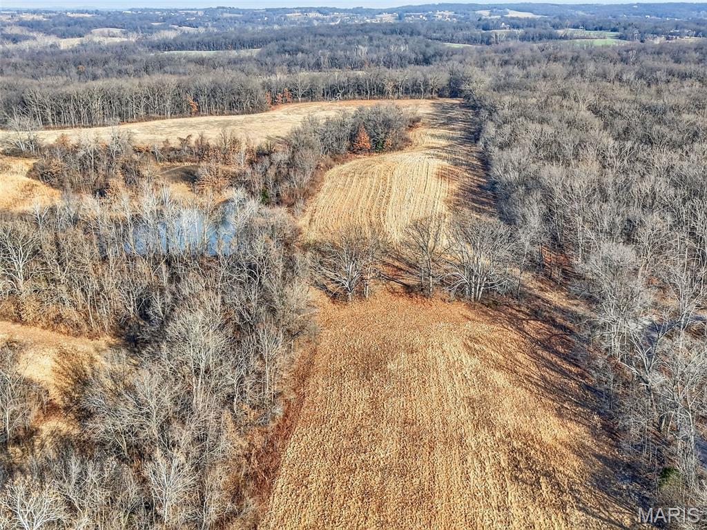 285 Graves Lane Foley, MO 63347 - Photo 30 of 34