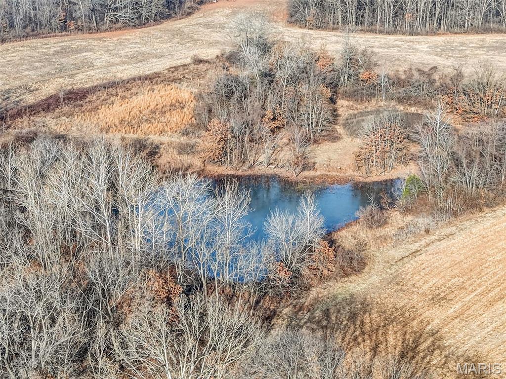 285 Graves Lane Foley, MO 63347 - Photo 31 of 34